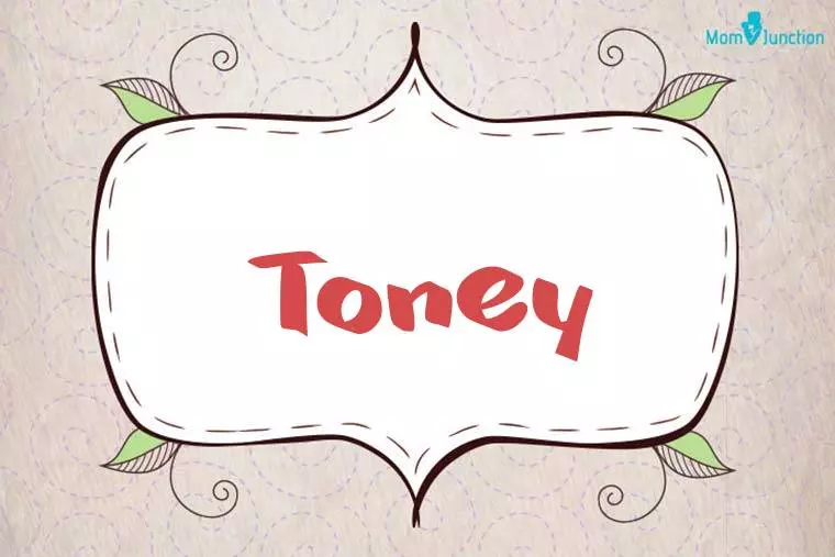 Toney Stylish Wallpaper