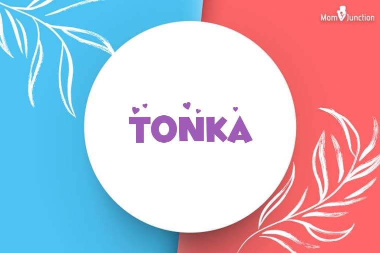 Tonka Stylish Wallpaper