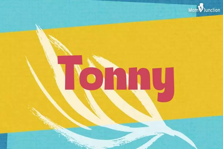 Tonny Stylish Wallpaper