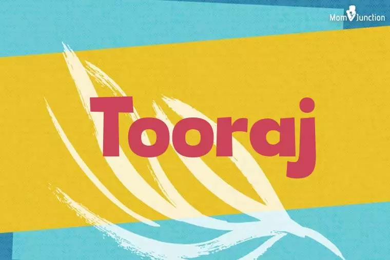 Tooraj Stylish Wallpaper