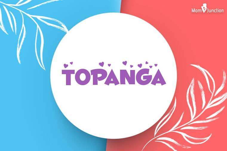 Topanga Stylish Wallpaper