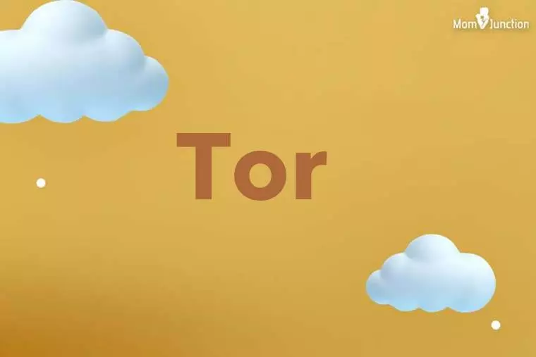 Tor 3D Wallpaper