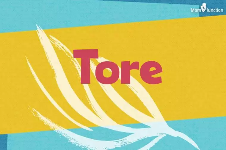 Tore Stylish Wallpaper