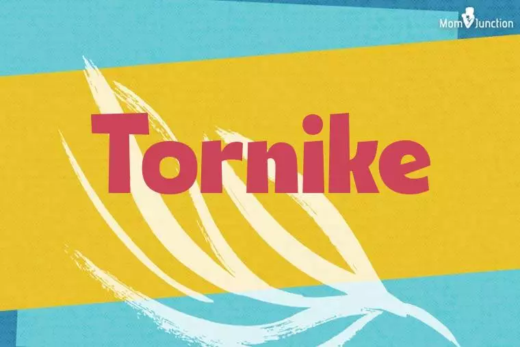 Tornike Stylish Wallpaper