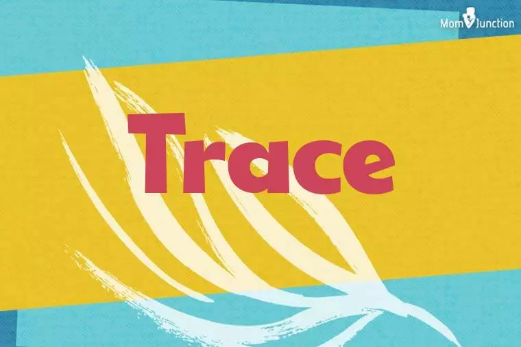 Trace Stylish Wallpaper