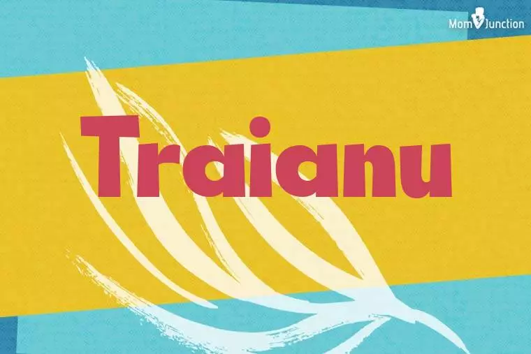 Traianu Stylish Wallpaper