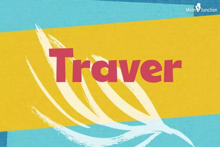 Traver Stylish Wallpaper