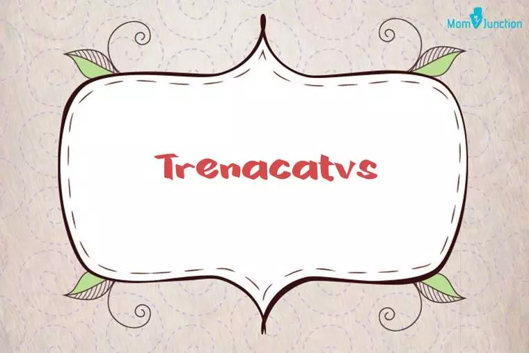 Trenacatvs Stylish Wallpaper