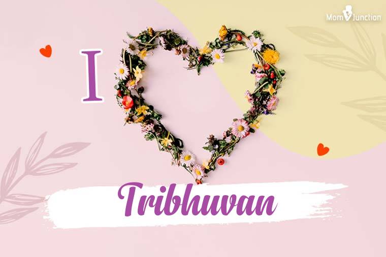 I Love Tribhuvan Wallpaper