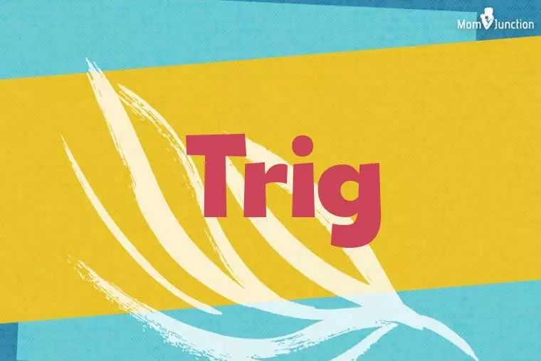 Trig Stylish Wallpaper