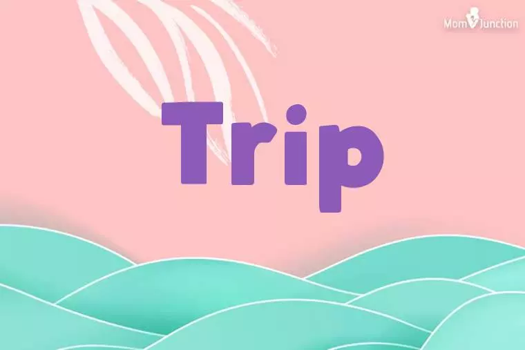 Trip Stylish Wallpaper