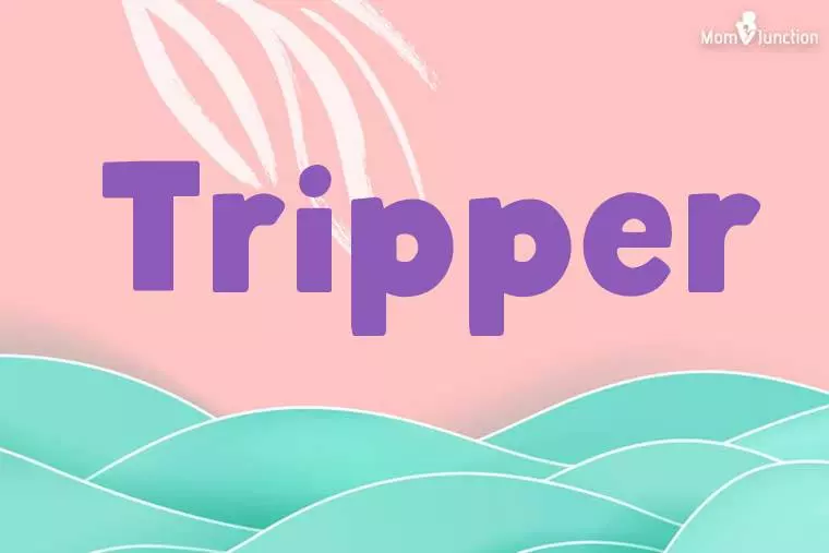 Tripper Stylish Wallpaper