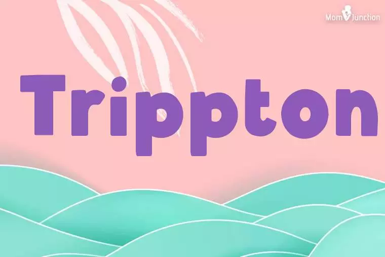 Trippton Stylish Wallpaper