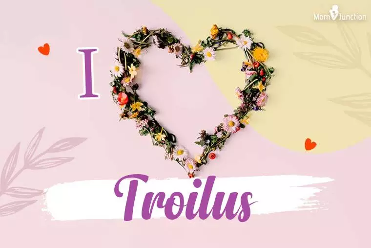 I Love Troilus Wallpaper