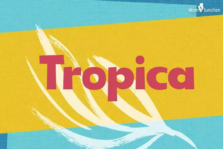 Tropica Stylish Wallpaper