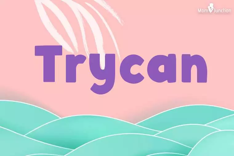 Trycan Stylish Wallpaper