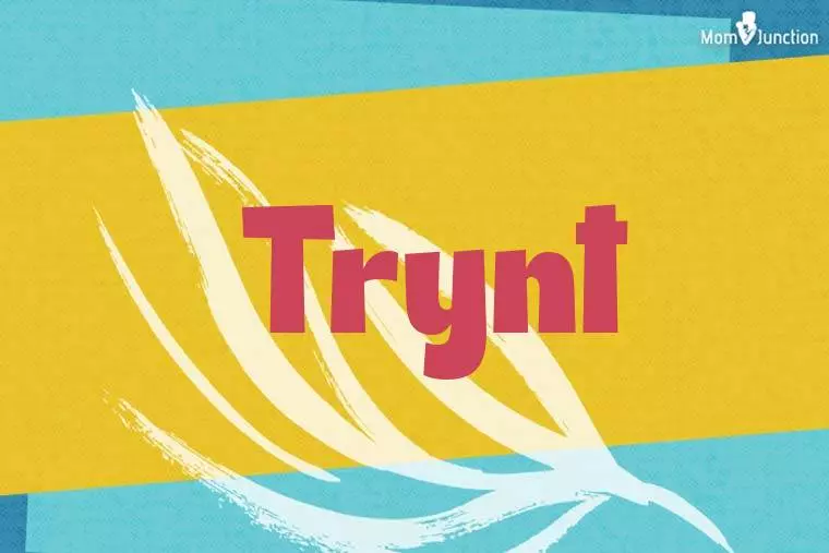 Trynt Stylish Wallpaper