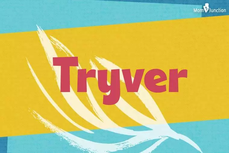 Tryver Stylish Wallpaper