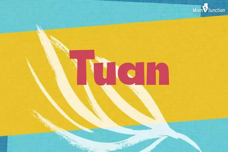 Tuan Stylish Wallpaper