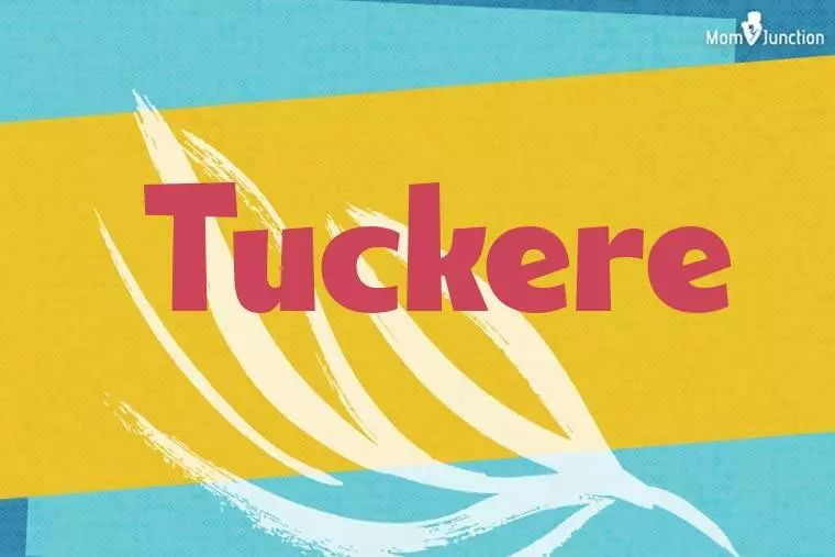 Tuckere Stylish Wallpaper