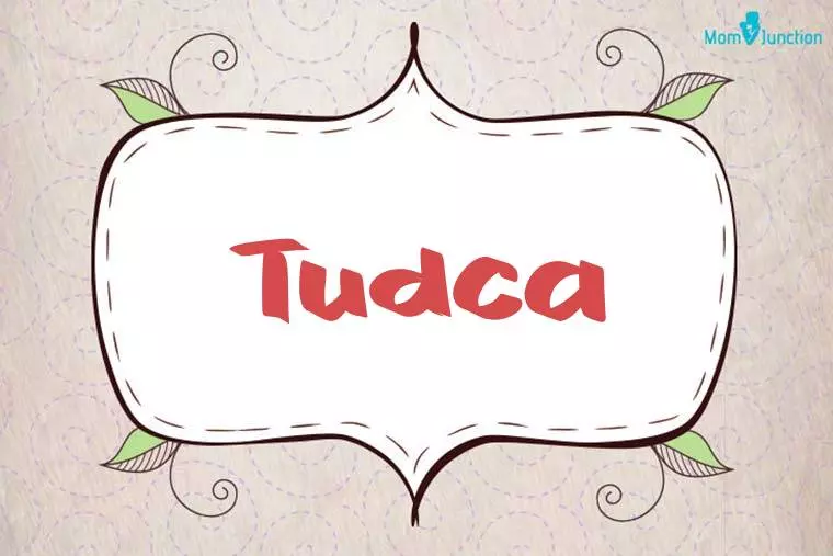 Tudca Stylish Wallpaper