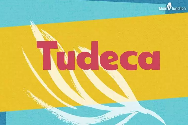 Tudeca Stylish Wallpaper