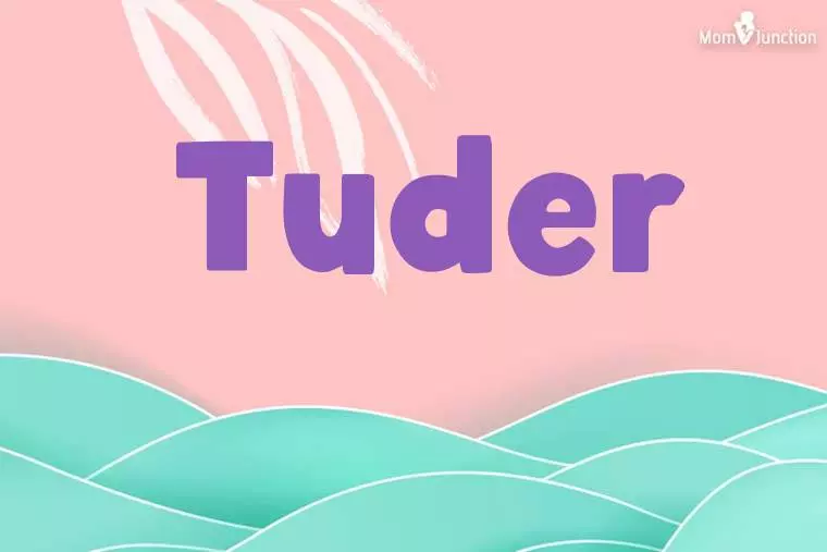 Tuder Stylish Wallpaper