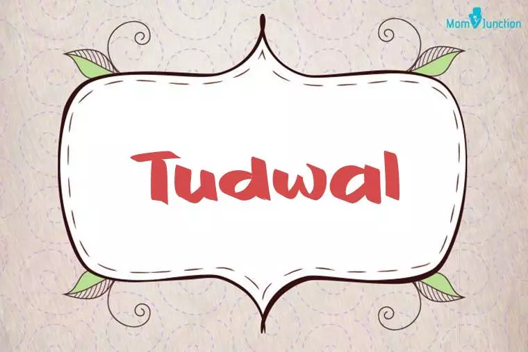 Tudwal Stylish Wallpaper