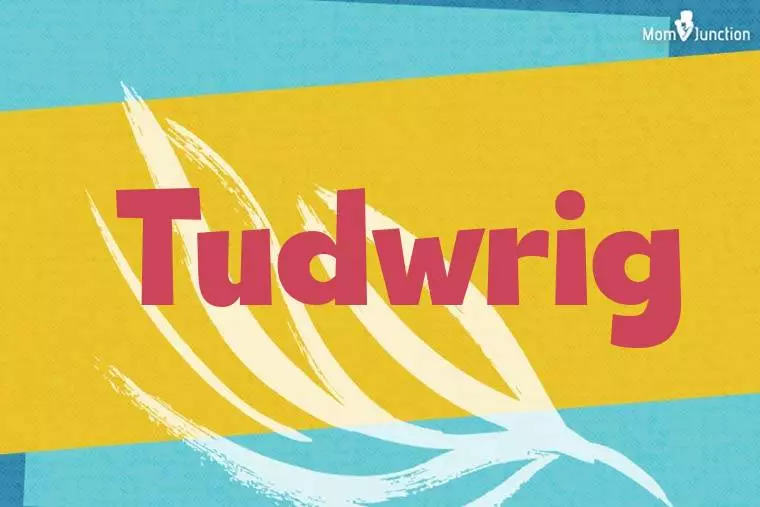 Tudwrig Stylish Wallpaper