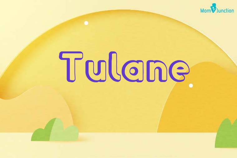Tulane 3D Wallpaper