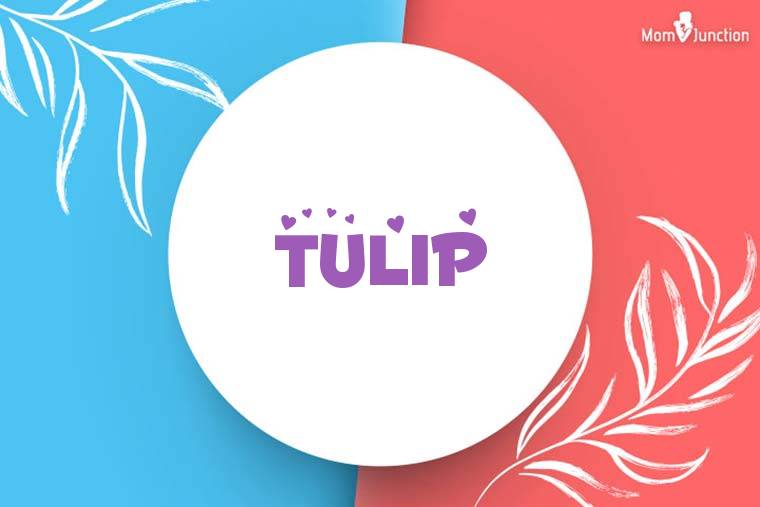 Tulip Stylish Wallpaper