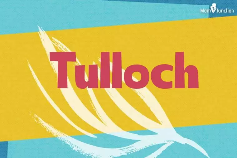 Tulloch Stylish Wallpaper