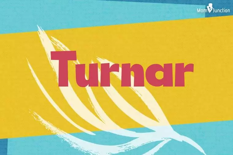 Turnar Stylish Wallpaper