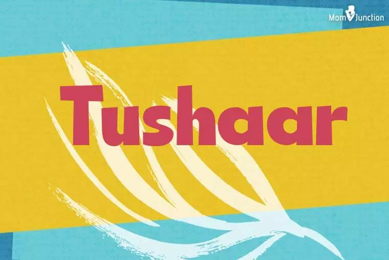 Tushaar Stylish Wallpaper