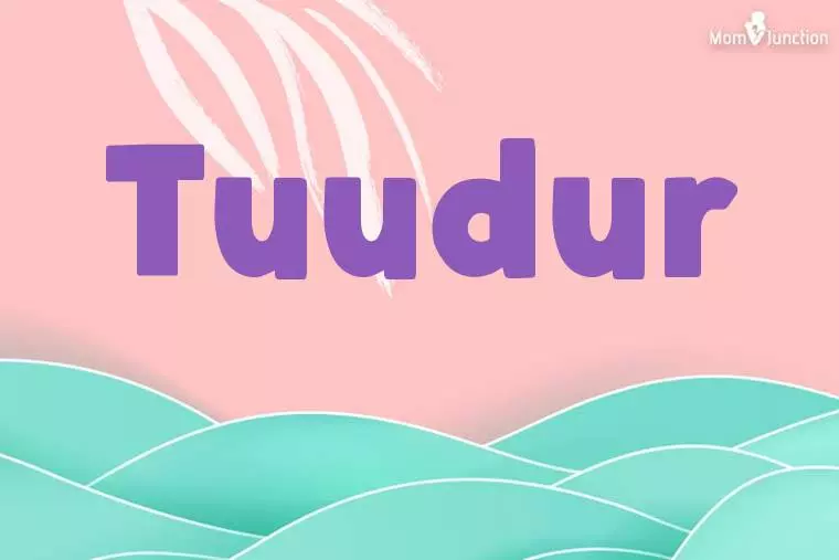 Tuudur Stylish Wallpaper