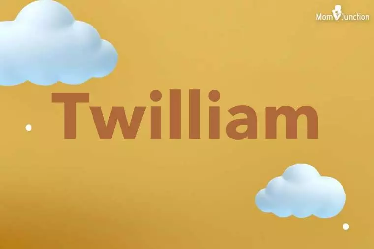 Twilliam 3D Wallpaper