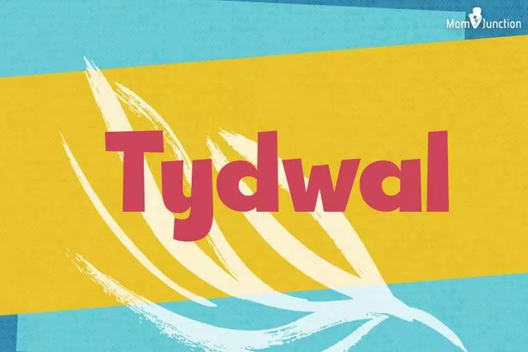 Tydwal Stylish Wallpaper