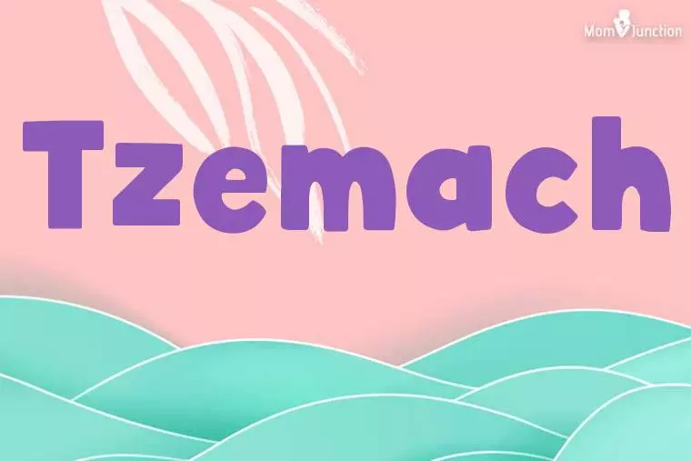 Tzemach Stylish Wallpaper