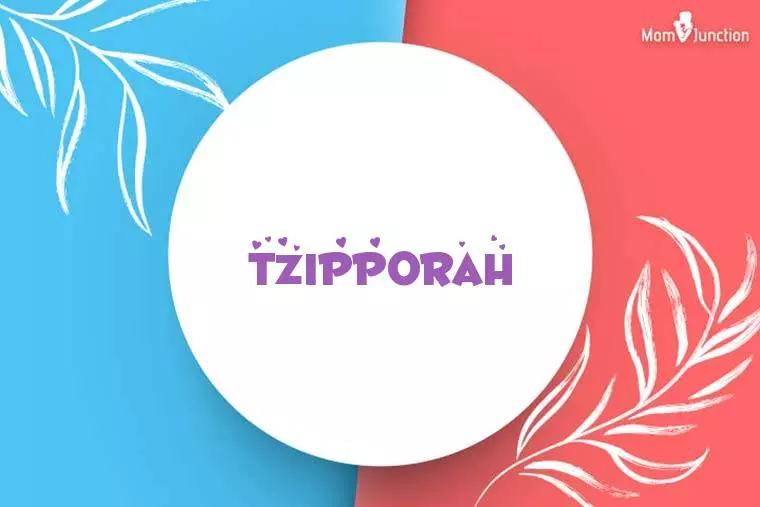 Tzipporah Stylish Wallpaper