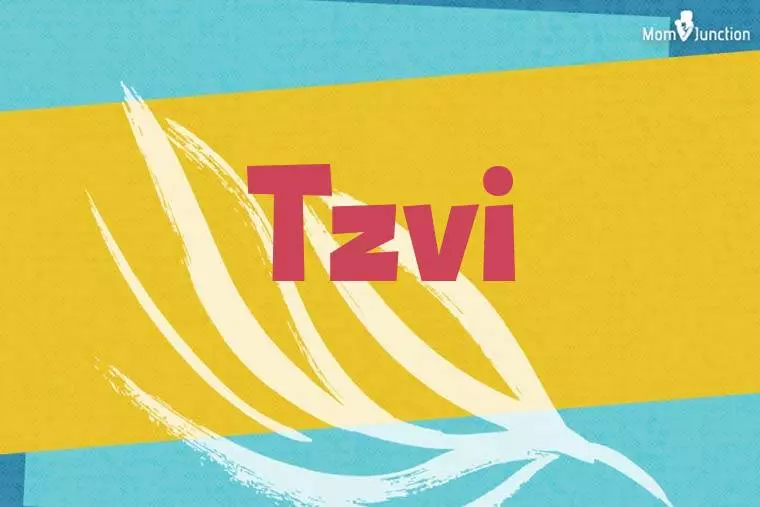 Tzvi Stylish Wallpaper