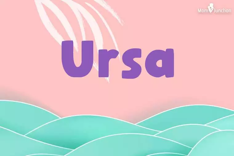 Ursa Stylish Wallpaper