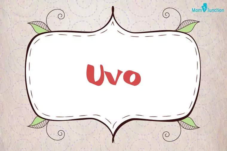 Uvo Stylish Wallpaper