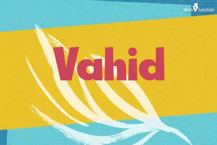 Vahid Stylish Wallpaper