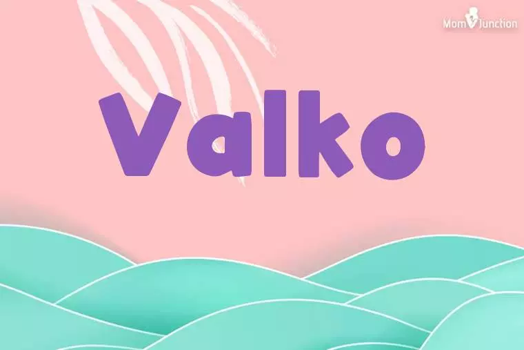 Valko Stylish Wallpaper