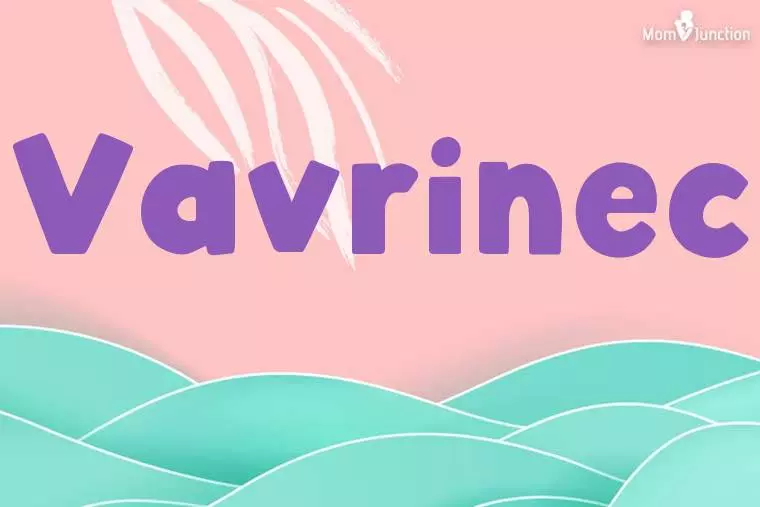 Vavrinec Stylish Wallpaper