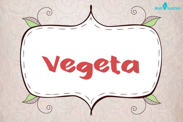 Vegeta Stylish Wallpaper