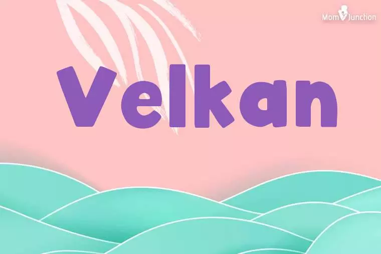 Velkan Stylish Wallpaper