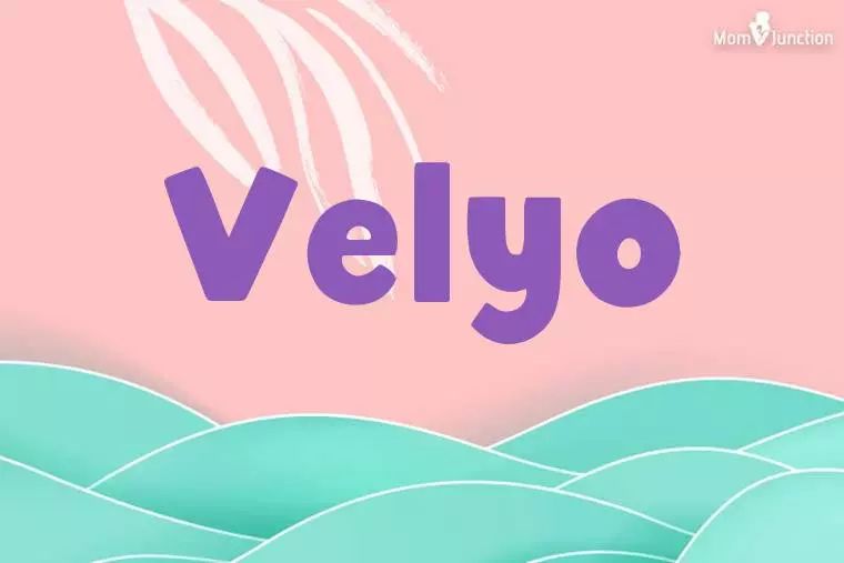 Velyo Stylish Wallpaper