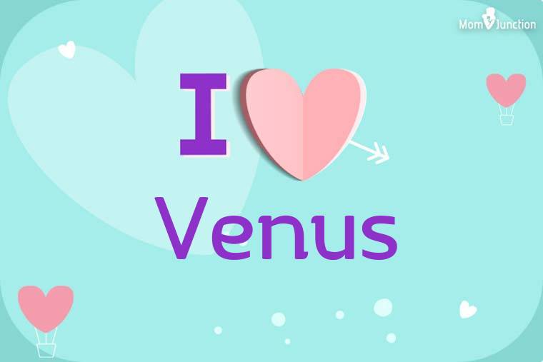 I Love Venus Wallpaper