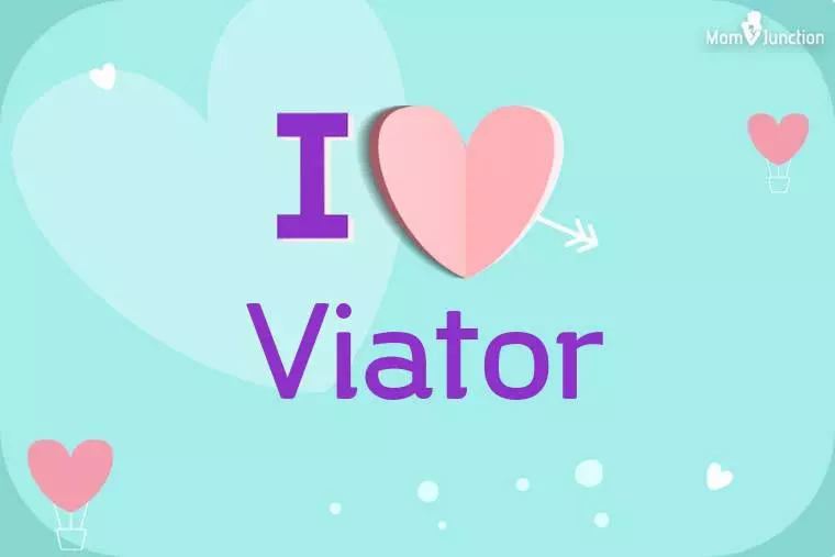 I Love Viator Wallpaper